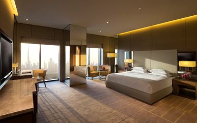 Hôtel Hyatt Regency Dubai Creek Heights 5*