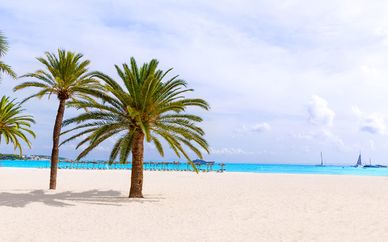Hôtel Palmanova 4*