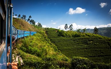 Circuit privatisé 4* - Parfums du Sri Lanka et séjour balnéaire