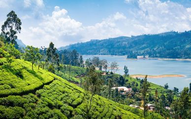 Circuit privé culture et plage au Sri Lanka en 4 et 5*