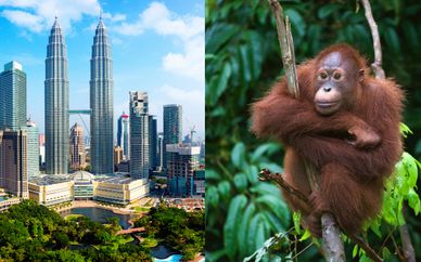 Tour privato della Malesia e soggiorno mare a Langawi
