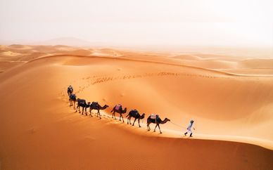 Tour in 4x4 Monte Atlas, gole e deserto del Sahara di 5 o 7 notti