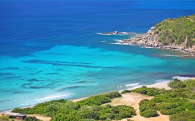 Free Beach Club 4*