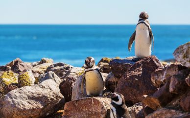 Tour alla scoperta della Patagonia