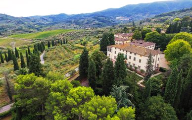 Tenuta di Capezzana