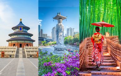 Minitour dell'Asia: Pechino, Seoul e Tokyo