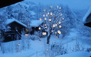Hotel Village