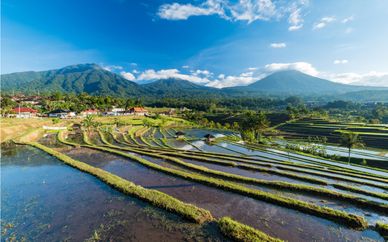 Profound Bali