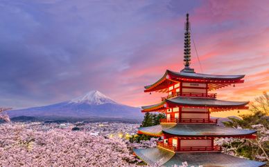 Tokyo & Kyoto
