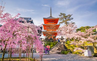 Japan in All Shapes & Sizes