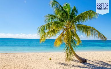 Turtle Beach by Elegant Hotels 4*