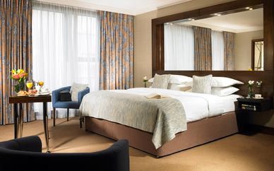 Ashling Hotel 4*