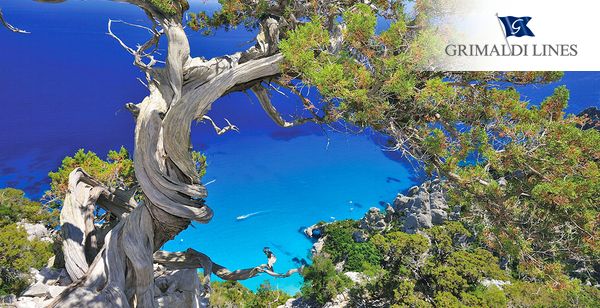 Arbatax Park Resort Telis 4*