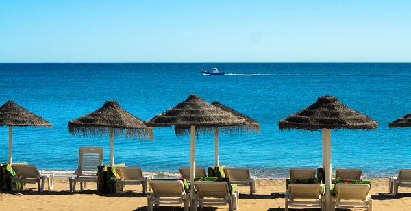 Hotel The Element 4*