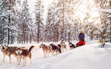 Märchenhaftes Lappland mit enthaltenen Ausflügen 