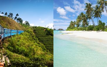 Rondreis van 5 tot 7 nachten door Sri Lanka + verblijf in Dhigufaru Island Resort 5*
