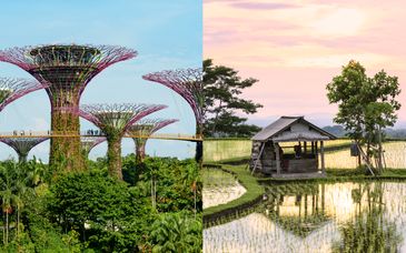 Dusit Thani Laguna Singapore 5*, The Mansion Resort & spa 4*, Anema Wellness & Resort Gili Lombok 5* & Renaissance Bali Uluwatu Resort & Spa 5*