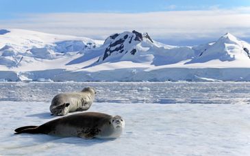 Avontuur van 14 nachten van Buenos Aires naar Antarctica 