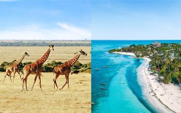 Safari in 6 oder 7 Nächten & Sea Cliff Resort & Spa 5* 