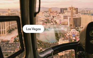 Adults Only: Circa Las Vegas Resort & Casino 4*