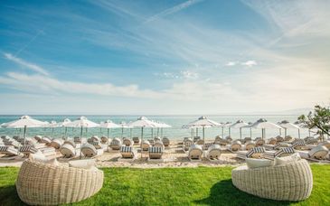 Cocooning Suites by Blue Carpet