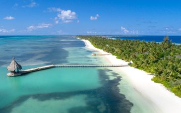Canareef Resort Maldives 4*