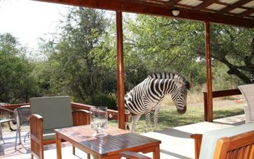 Turaco Lodge 4*