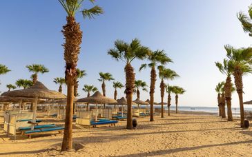 Amwaj Beach Club 4*