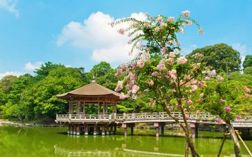 Rundreise in Eigenregie: Tradition trifft Moderne im Land der aufgehenden Sonne