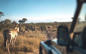 Grace of Africa Boutique Safari Lodge 5*