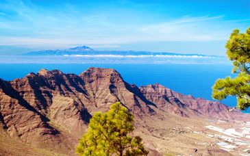 Solana Premium Apartments