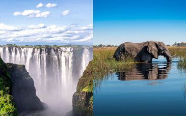 Rundreise: Von den Victoria Falls nach Botswana