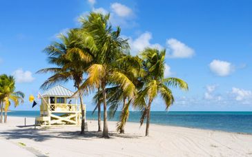 Autotour: Strände, Freizeitparks und Alligatoren