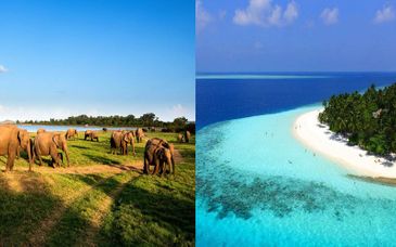 Private Rundreise Sri Lanka + Holiday Island 