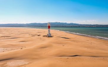 Taiga Delta de l'Ebre