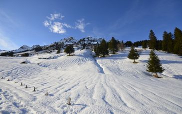 Apartamentos Premium SWISSPEAK Resorts Thyon 4 Vallées by Pierre et Vacances 4*