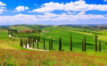Descubre la Toscana con estancia en hotel 4*