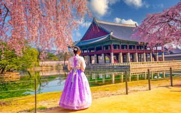 Circuito en libertad: las 1001 facetas del país de los templos