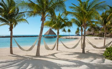 Hotel Dreams Aventuras Riviera Maya 5*