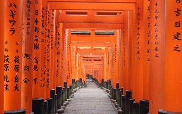 Circuito en libertad: Lo esencial de Japón en 10, 12 o 14 noches