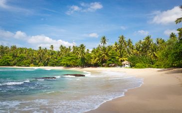 Circuito privado: La fauna y el patrimonio de Sri Lanka en 8-12 noches