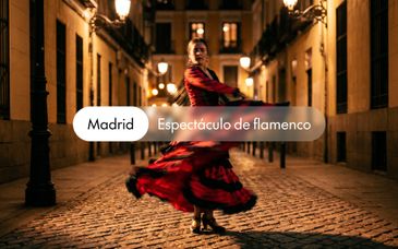 Hotel Puerta América 5*