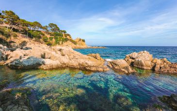 Alegria Plaza Paris 4*