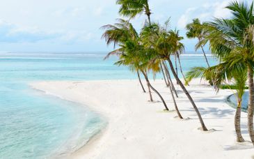 Barceló Whale Lagoon Maldives 5*