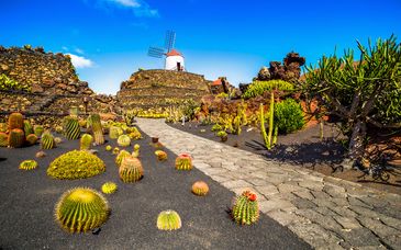 Descubre Lanzarote en hotel de 5*