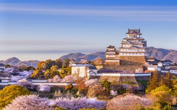 Circuito en libertad: Sabores de Japón