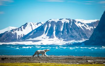 Crucero de expedición: De Islandia a Svalbard con escalas en Reikiavik y Oslo en 13 noches