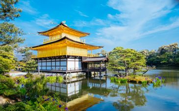 Japón en familia en 9-12 noches con preextensión opcional en Hong Kong