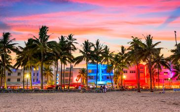 Kimpton Palomar South Beach con opción a crucero