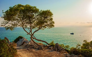 Hotel Golden Donaire Beach